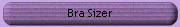 Bra Sizer